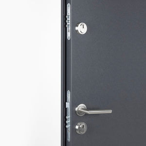 Porta Ingresso Antracite 110x207,5 cm in Alluminio 3190540
