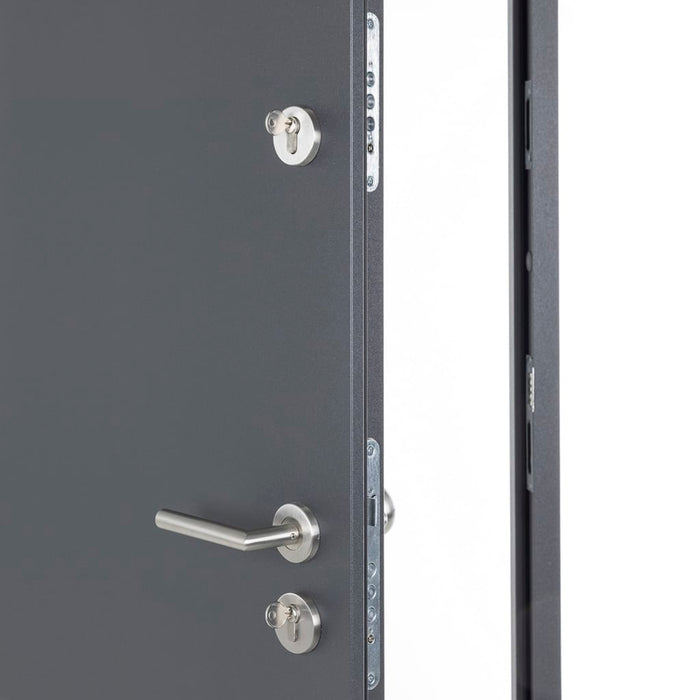 Porta Ingresso Antracite 110x207,5 cm in Alluminio 3190540