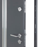 Porta Ingresso Antracite 100x200 cm in Alluminio 3190550