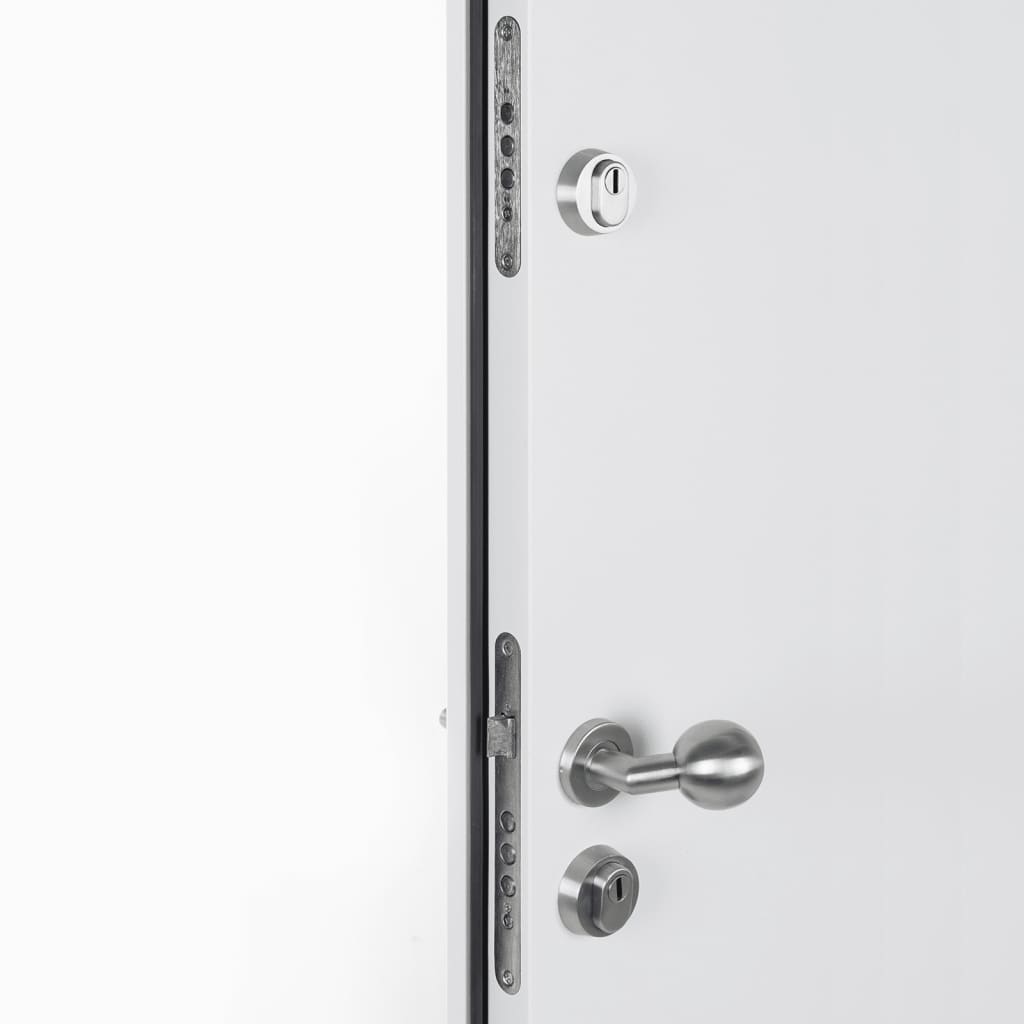 Porta Ingresso Bianca 100x200 cm in Alluminio 3190556