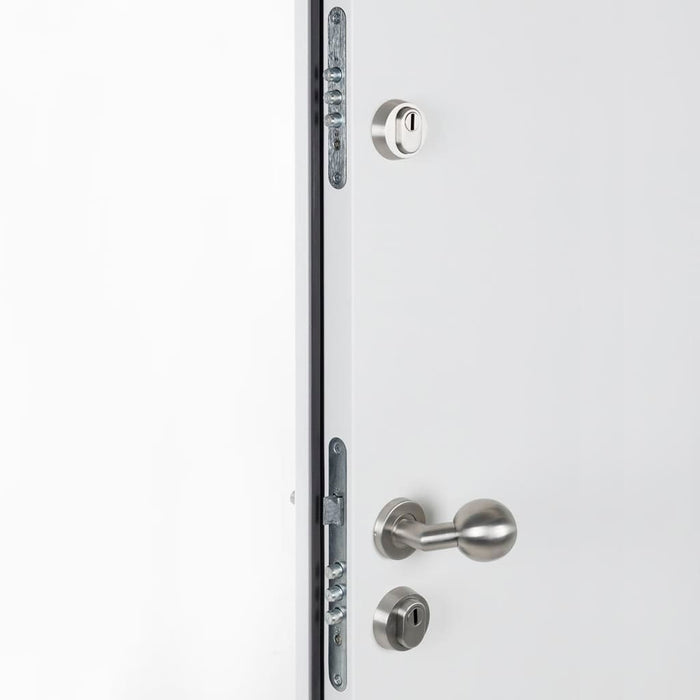 Porta Ingresso Bianca 100x200 cm in Alluminio 3190556