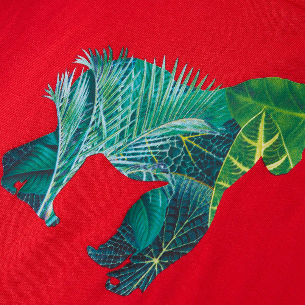 Maglietta da Bambino Rossa 104 12255