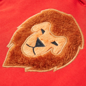 Felpa con Cappuccio da Bambino Rossa 116 13321