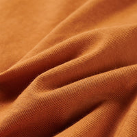 Maglietta da Bambino Maniche Lunghe Ocra Scuro 104 13460