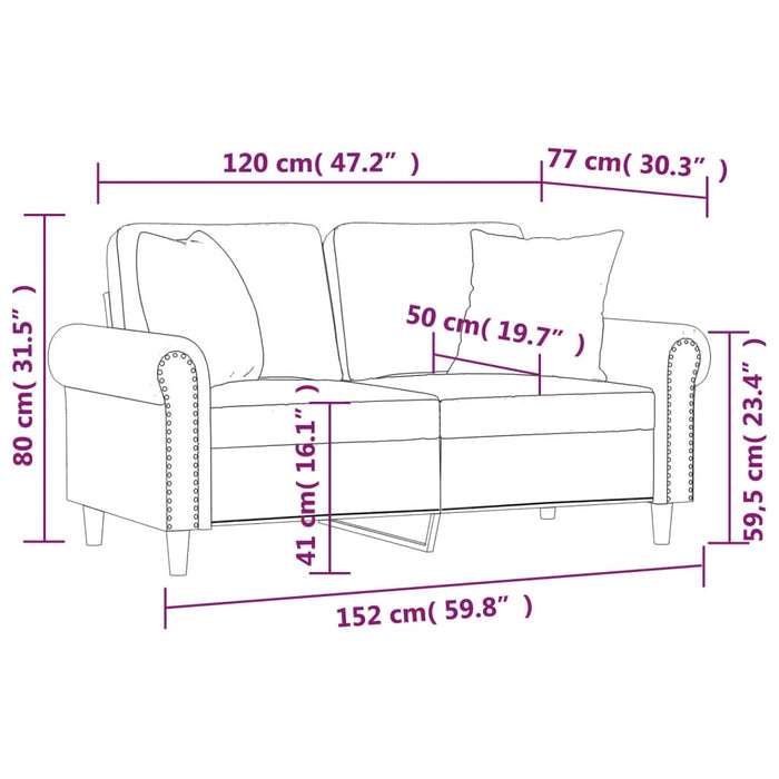 Divano a 2 Posti con Cuscini-Sofa 2 Posti con Cuscini Grigio Chiaro 120 cm in Velluto 653889
