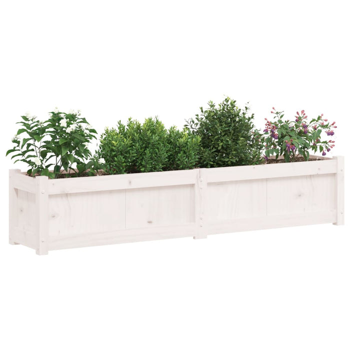 Fioriere da Giardino 2 pz Bianche in Legno Massello di Pinocod mxl 108968