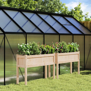 Fioriere da Giardino 2 pz con Gambe in Legno Massello di Pinocod mxl 85261