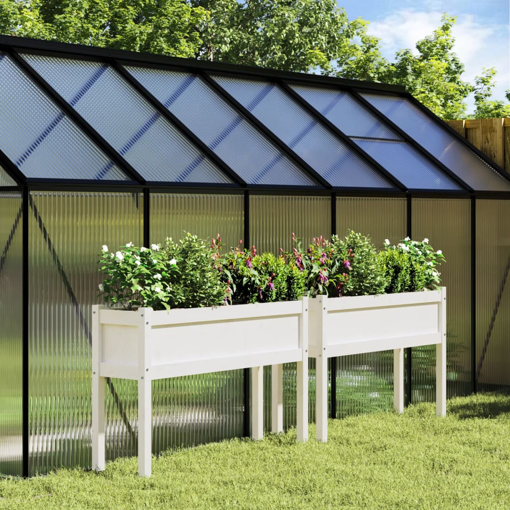 Fioriere da Giardino 2 pz con Gambe Bianche Legno Massello Pino 837567