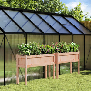 Fioriere da Giardino 2 pz con Gambe Legno Massello di Douglas 837571