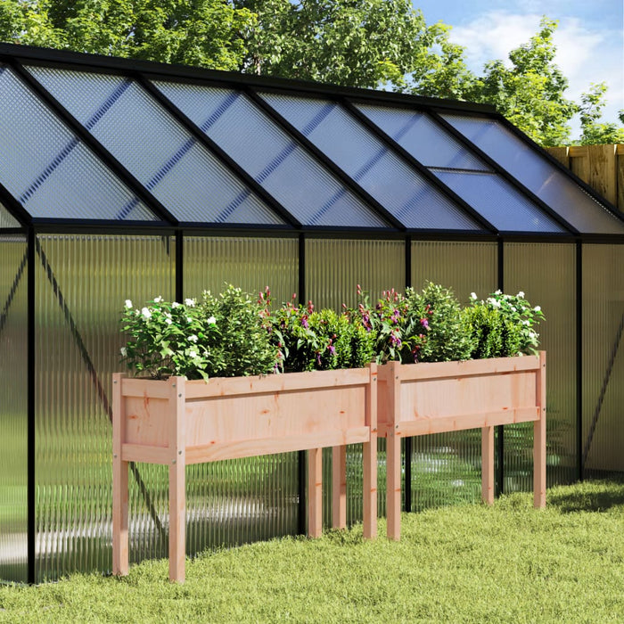 Fioriere da Giardino 2 pz con Gambe Legno Massello di Douglas 837571