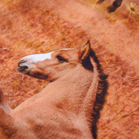 Abito da Bambina a Maniche Lunghe Blu Marino 116 14854