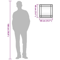 Specchio da Parete-Specchio a Muro-Specchio Decorativo Nero 40x40 cm Quadrato in Ferro