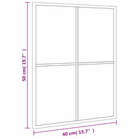 Specchio da Parete Nero 40x50 cm Rettangolare in Ferro 358646