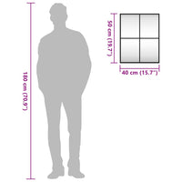 Specchio da Parete Nero 40x50 cm Rettangolare in Ferro 358646