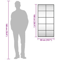 Specchio da Parete Nero 50x100 cm Rettangolare in Ferro 358649