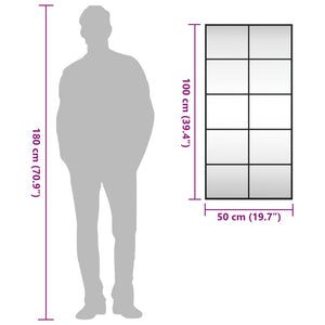 Specchio da Parete Nero 50x100 cm Rettangolare in Ferro 358649