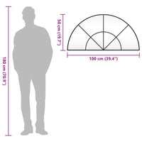 Specchio da Parete-Specchio a Muro-Specchio Decorativo Nero 100x50 cm Arco in Ferro 703690