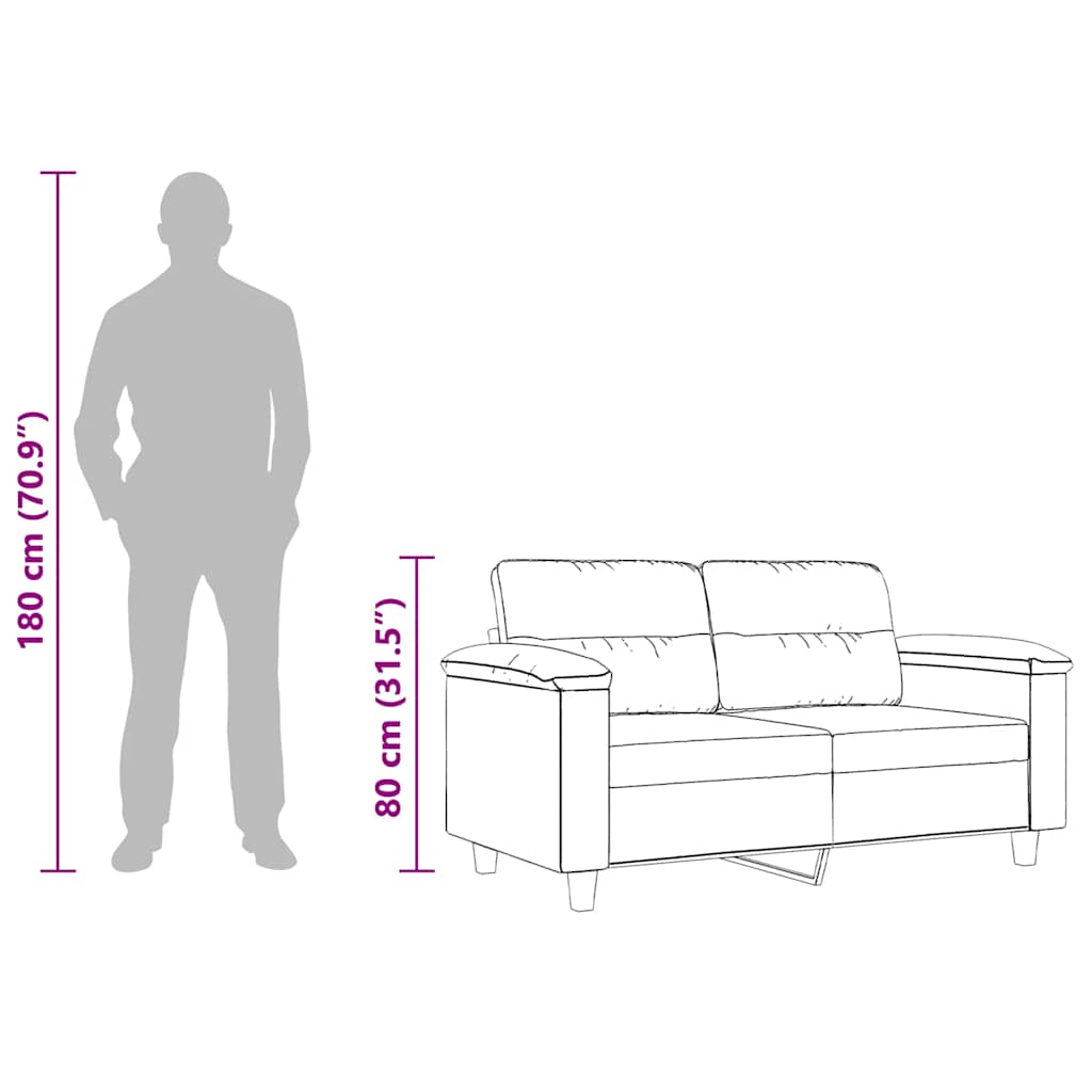 Divano a 2 Posti Grigio Scuro 120 cm in Tessuto Microfibra 359557