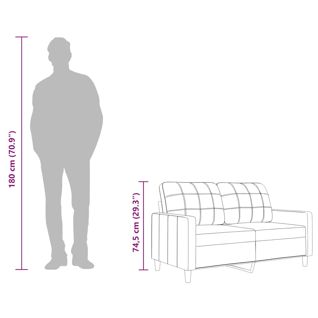 Divano a 2 Posti Grigio Scuro 120 cm in Tessuto 359084