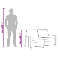 Divano a 2 Posti Grigio Chiaro 120 cm in Tessuto 359155