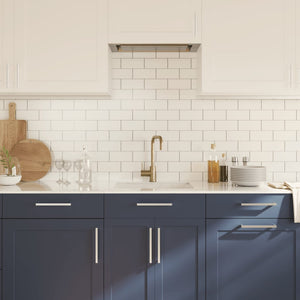 Maniglie per Mobili 20 pz Argento 224 mm in Acciaio Inox 3203640