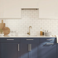 Maniglie per Mobili 20 pz Argento 224 mm in Acciaio Inox