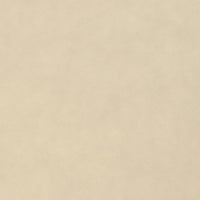 Copertura per Piante 70 g/m² 50x1,6 m 364860