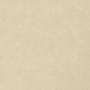 Copertura per Piante 70 g/m² 50x1,6 m 364860