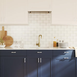 Maniglie per Mobili 10pz Argento 64mm in Acciaio Inox 155412