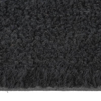 Zerbino Nero 50x80 cm Fibra di Cocco 155574