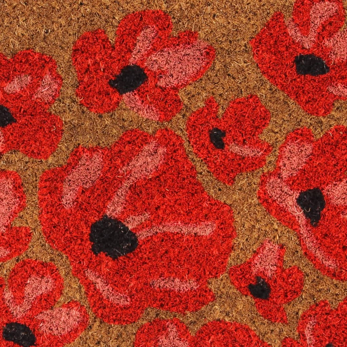 Zerbino Naturale 40x60 cm Fibra di Cocco 155620