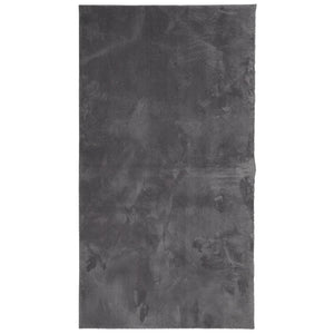 Tappeto a Pelo Corto HUARTE Morbido Lavabile Antracite 80x150cm 374995