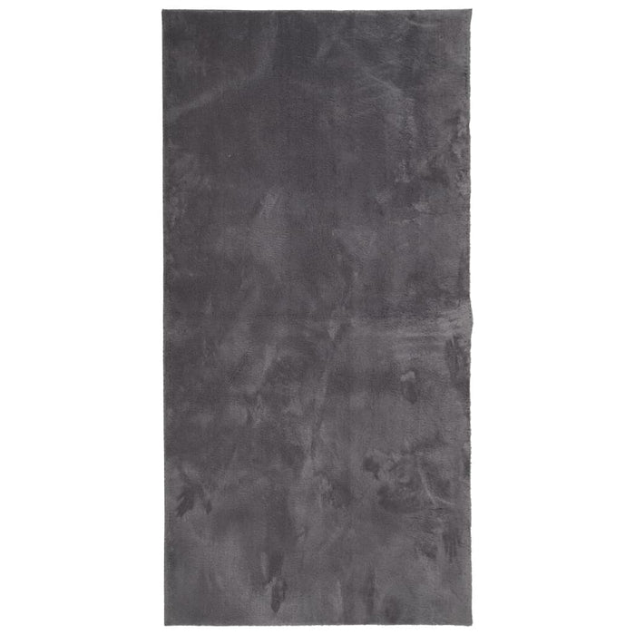 Tappeto Pelo Corto HUARTE Morbido Lavabile Antracite 100x200 cm 374998