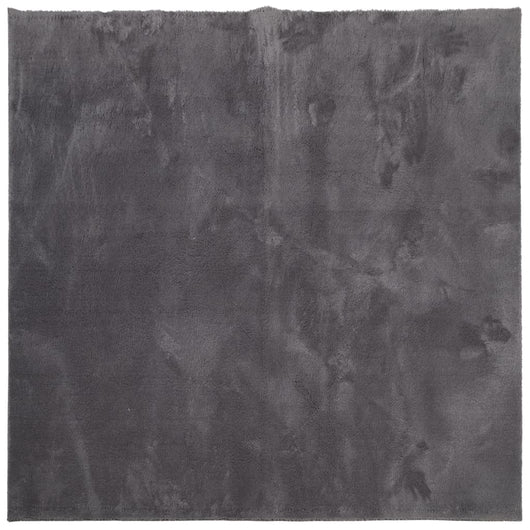 Tappeto Pelo Corto HUARTE Morbido Lavabile Antracite 120x120 cm 374999