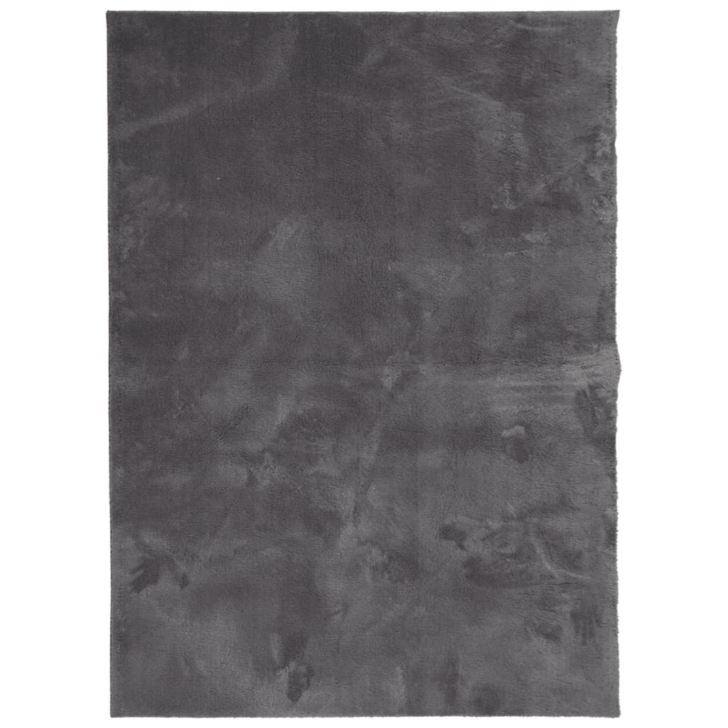Tappeto Pelo Corto HUARTE Morbido Lavabile Antracite 120x170 cm 375000
