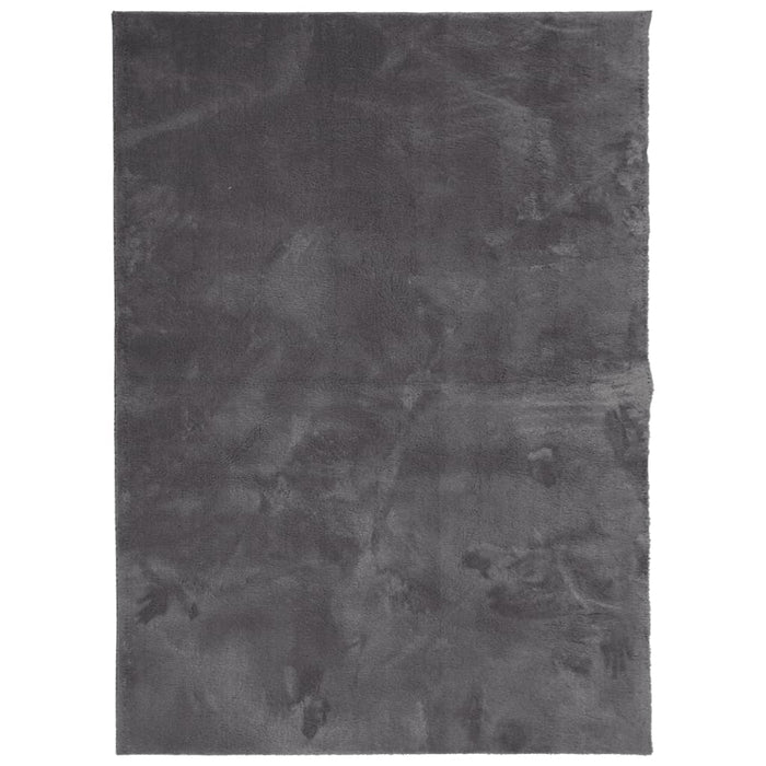Tappeto Pelo Corto HUARTE Morbido Lavabile Antracite 160x230 cm 375003