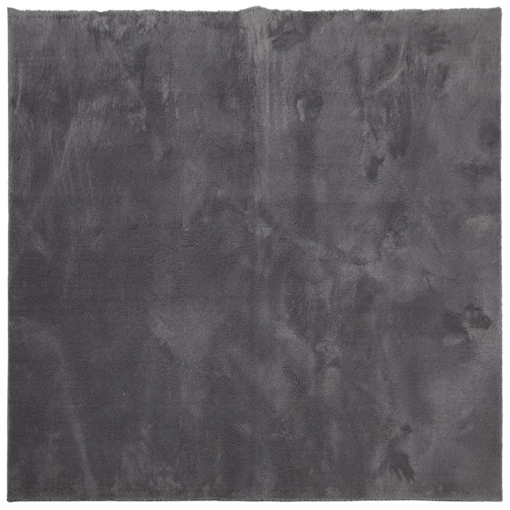 Tappeto Pelo Corto HUARTE Morbido Lavabile Antracite 200x200 cm 375004