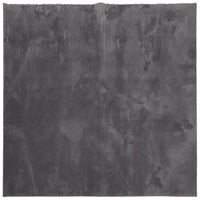 Tappeto Pelo Corto HUARTE Morbido Lavabile Antracite 240x240 cm 375006