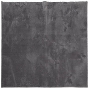 Tappeto Pelo Corto HUARTE Morbido Lavabile Antracite 240x240 cm 375006