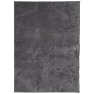 Tappeto Pelo Corto HUARTE Morbido Lavabile Antracite 240x340 cm 375007