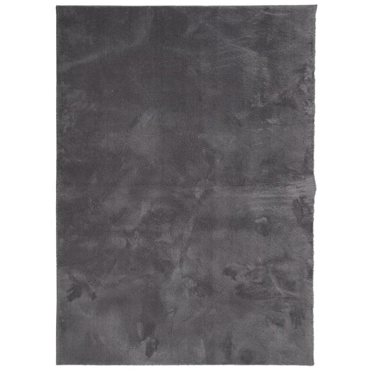 Tappeto Pelo Corto HUARTE Morbido Lavabile Antracite 240x340 cm 375007