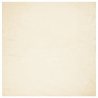 vidaXL Tappeto a Pelo Corto HUARTE Morbido e Lavabile Crema 240x240 cm