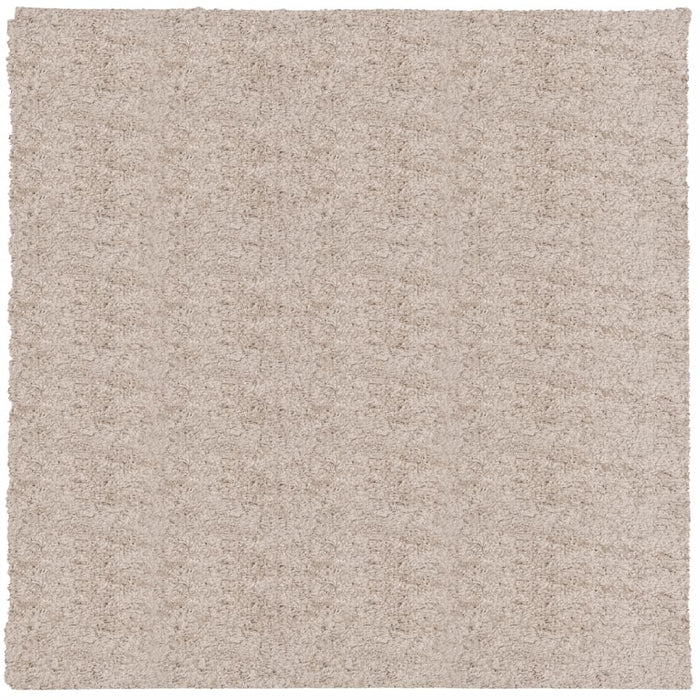 Tappeto Shaggy PAMPLONA a Pelo Lungo Moderno Beige 120x120 cm 375211