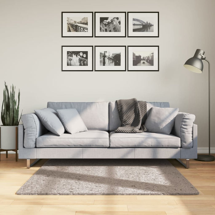 Tappeto Shaggy PAMPLONA a Pelo Lungo Moderno Beige 120x120 cm 375211