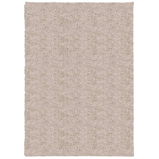 Tappeto Shaggy PAMPLONA a Pelo Lungo Moderno Beige 120x170 cm 375212