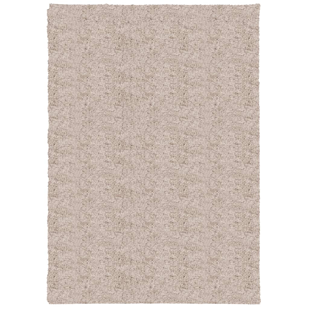 Tappeto Shaggy PAMPLONA a Pelo Lungo Moderno Beige 120x170 cm