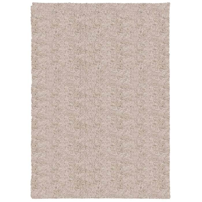 Tappeto Shaggy PAMPLONA a Pelo Lungo Moderno Beige 120x170 cm
