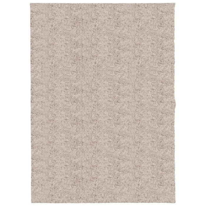 Tappeto Shaggy PAMPLONA a Pelo Lungo Moderno Beige 140x200 cm
