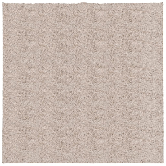 Tappeto Shaggy PAMPLONA a Pelo Lungo Moderno Beige 160x160 cm 375214