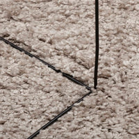 Tappeto Shaggy PAMPLONA a Pelo Lungo Moderno Beige Ø 120 cm 375223